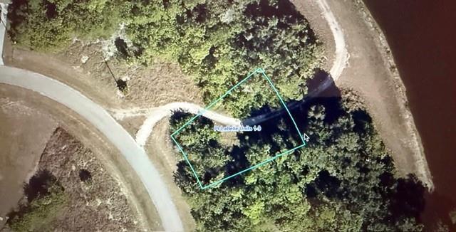 An aerial view shows a rectangular plot of land outlined in blue amidst wooded terrain — 3025 E Briarwood Circle, FL 33935, FL