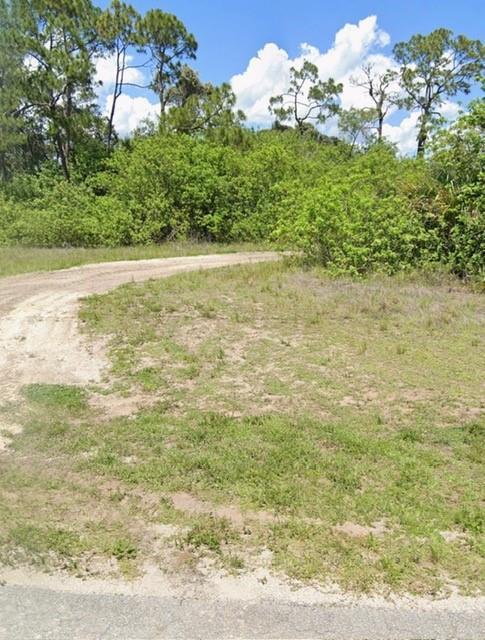 A dirt path leads into a wooded area with green trees under a blue sky — 3025 E Briarwood Circle, FL 33935, FL