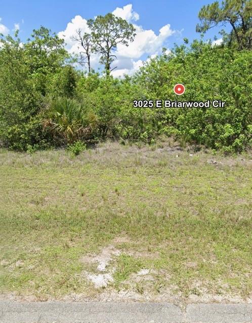 A vacant, grassy lot is covered with dense green trees and shrubs — 3025 E Briarwood Circle, FL 33935, FL
