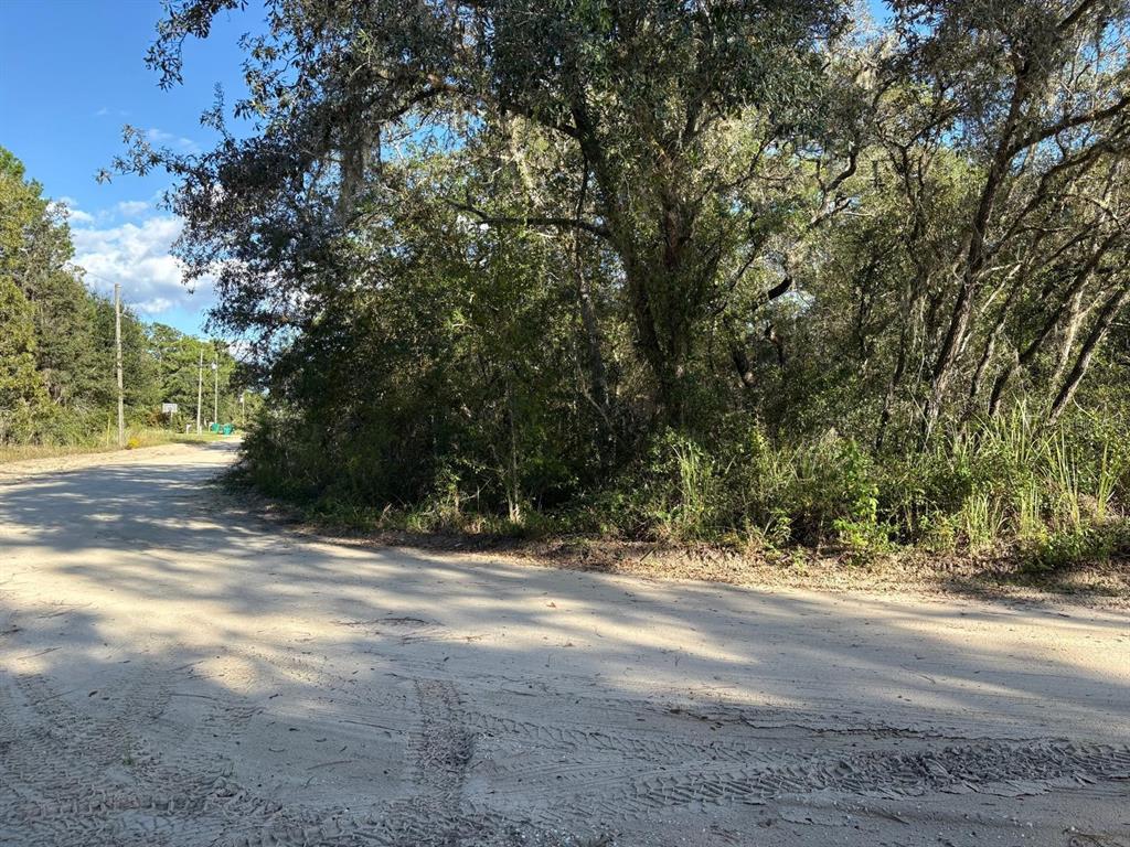 A dirt road curves past a dense wooded area under a blue sky — 2909 EASTWOOD STREET, INVERNESS, FL
