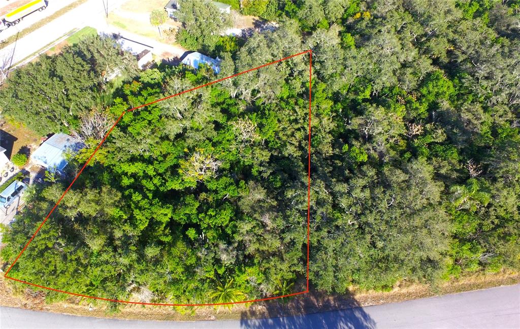 An aerial view shows a wooded, irregularly shaped vacant lot outlined in red — 0 POINSETTIA DRIVE, LAKE WALES, FL