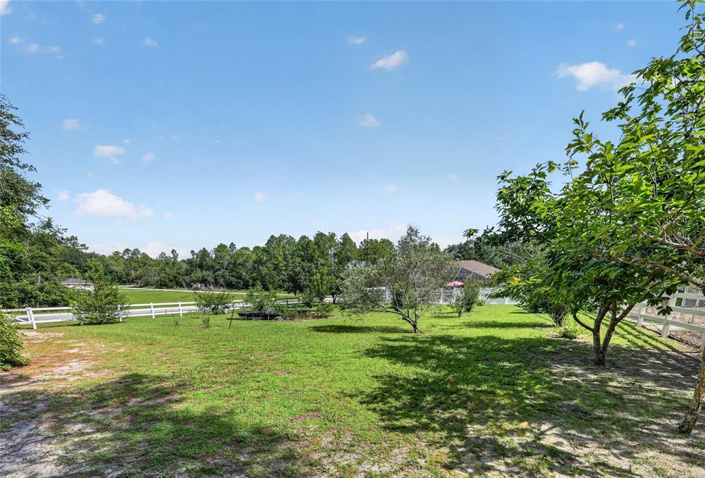 A grassy backyard features scattered trees, a white fence, and a distant house under blue skies — 20096 SW 59TH LANE, DUNNELLON, FL