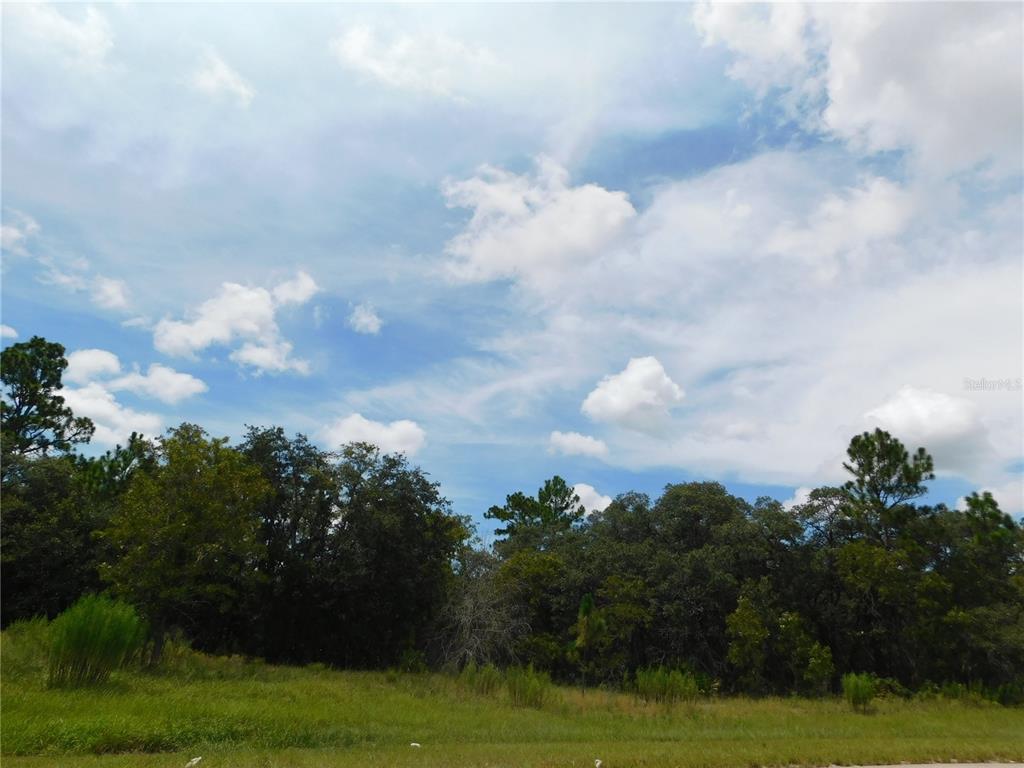 A grassy lot with scattered trees under a blue sky with white clouds — 6683 N BEDSTROW BOULEVARD, DUNNELLON, FL