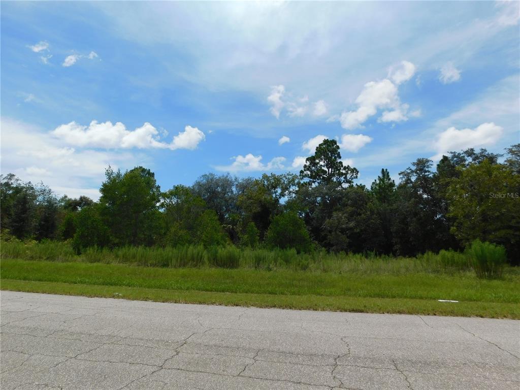 A paved road runs in front of a grassy lot with dense trees and vegetation — 6683 N BEDSTROW BOULEVARD, DUNNELLON, FL