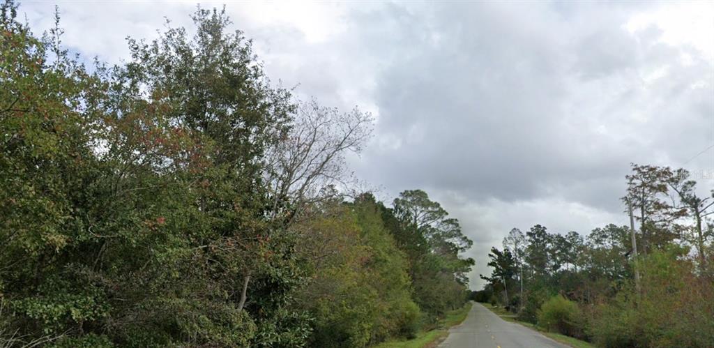 A paved road stretches into the distance, flanked by dense trees and foliage under cloudy skies — 978 JOINER ROAD, CHIPLEY, FL