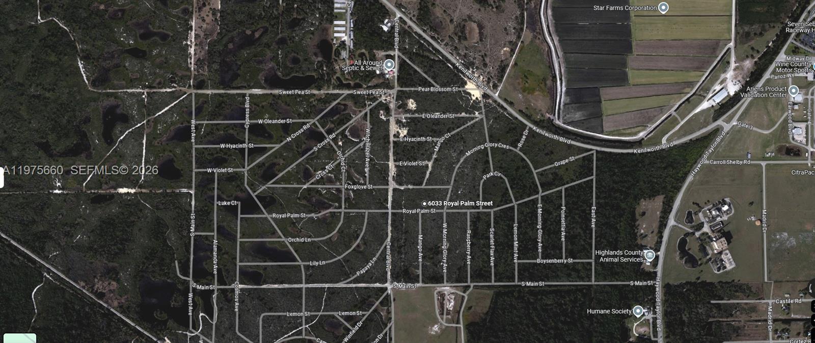 6033 Royal Palm Street, Sebring FL 33870