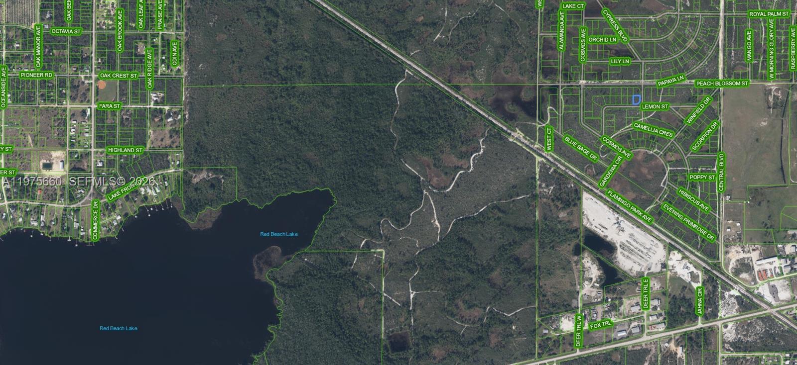 This is an aerial map showing residential streets, undeveloped land, and Red Beach Lake — 6033 Royal Palm Street, Sebring FL 33870, SEBRING, FL