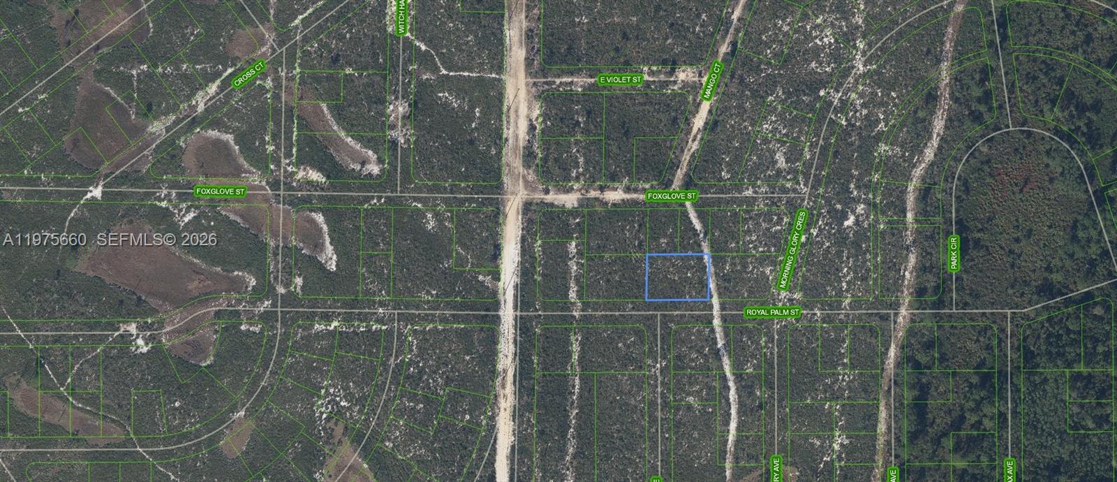 This is an aerial map showing a highlighted vacant lot in a residential subdivision — 6033 Royal Palm Street, Sebring FL 33870, SEBRING, FL