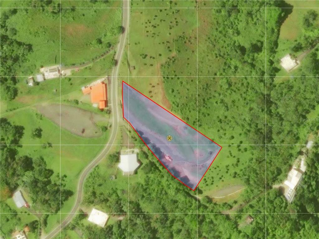 An aerial view shows a plot of land outlined in red next to a road — BO. QUEMADO, SAN LORENZO, PR