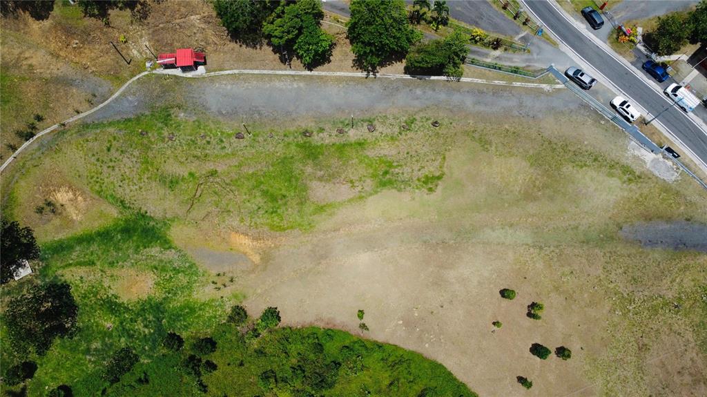 An aerial view shows a large, grassy, undeveloped plot of land next to a road — BO. QUEMADO, SAN LORENZO, PR