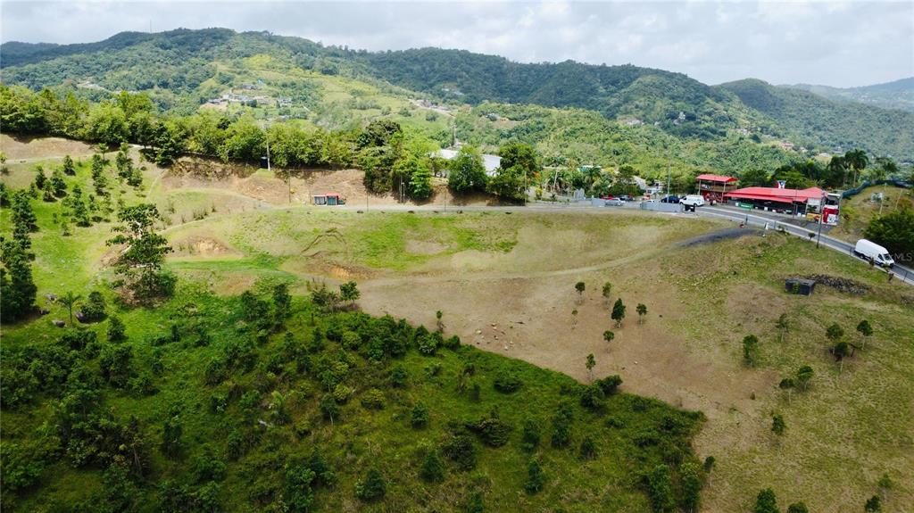 An aerial view shows a large, grassy, sloped plot of land near a paved road — BO. QUEMADO, SAN LORENZO, PR