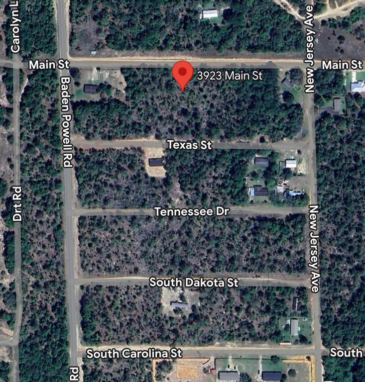 This is an aerial map view of a wooded residential lot located between several streets — 3921 & 3923 MAIN STREET, HAWTHORNE, FL