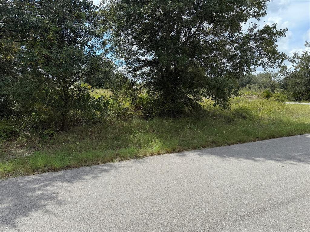 A paved road runs alongside a grassy, tree-covered vacant lot under a cloudy sky — 2513 72ND STREET W, LEHIGH ACRES, FL