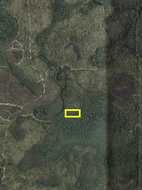 An aerial view of a wooded lot marked with a yellow rectangle — DILL ROAD, ORLANDO, FL