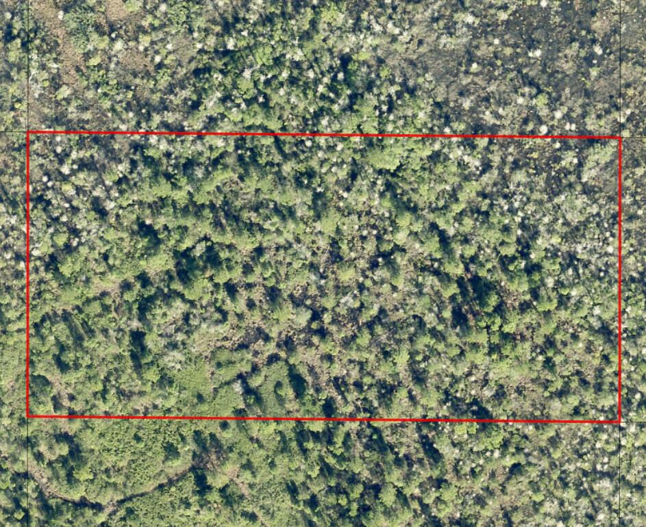 An aerial view shows a rectangular plot of land covered in dense forest and vegetation — 0 Water Road, Clermont FL 33868, CLERMONT, FL