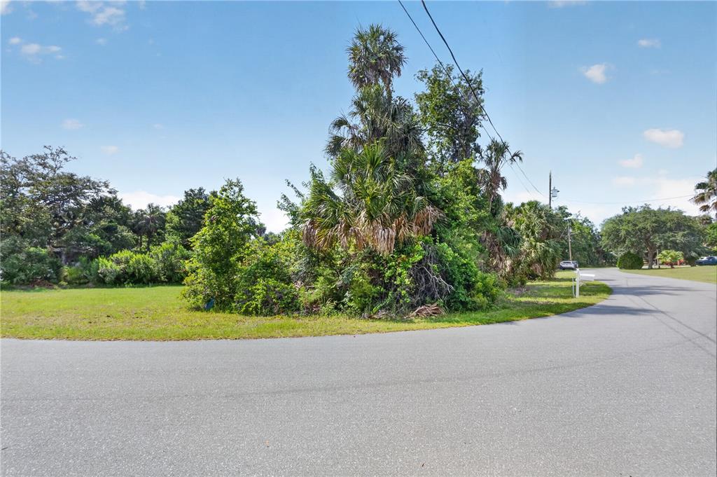 A vacant, wooded corner lot sits at the curve of a paved residential street — 4546 S SAWGRASS CIRCLE, HOMOSASSA, FL