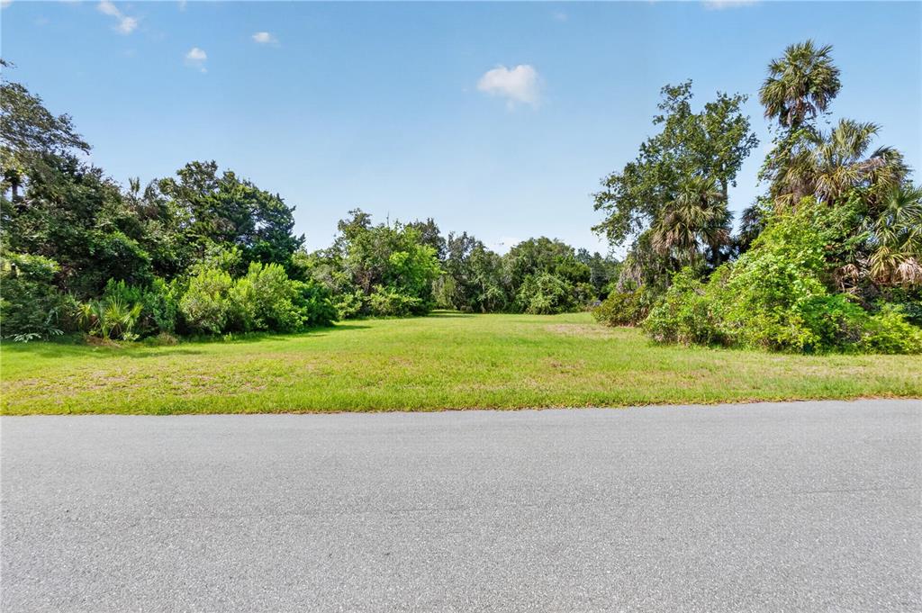 A vacant, grassy lot is bordered by dense trees and shrubs along a paved road — 4546 S SAWGRASS CIRCLE, HOMOSASSA, FL