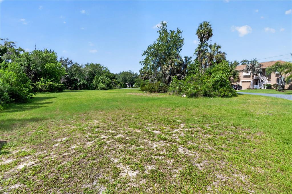 A grassy, vacant lot is surrounded by trees and adjacent to a multi-story residential building — 4546 S SAWGRASS CIRCLE, HOMOSASSA, FL