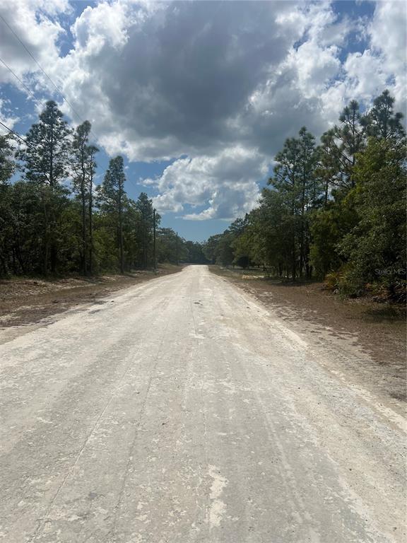 A dirt road stretches forward between rows of pine trees under a cloudy blue sky — SAGE THRASHER AVE, WEEKI WACHEE, FL