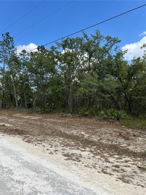 A dirt road runs alongside a wooded lot with dense trees and low-lying vegetation — SAGE THRASHER AVE, WEEKI WACHEE, FL