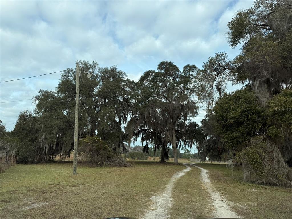 A dirt path leads through a grassy field toward a cluster of large, moss-draped trees — 29605 FULLERVILLE ROAD, DELAND, FL
