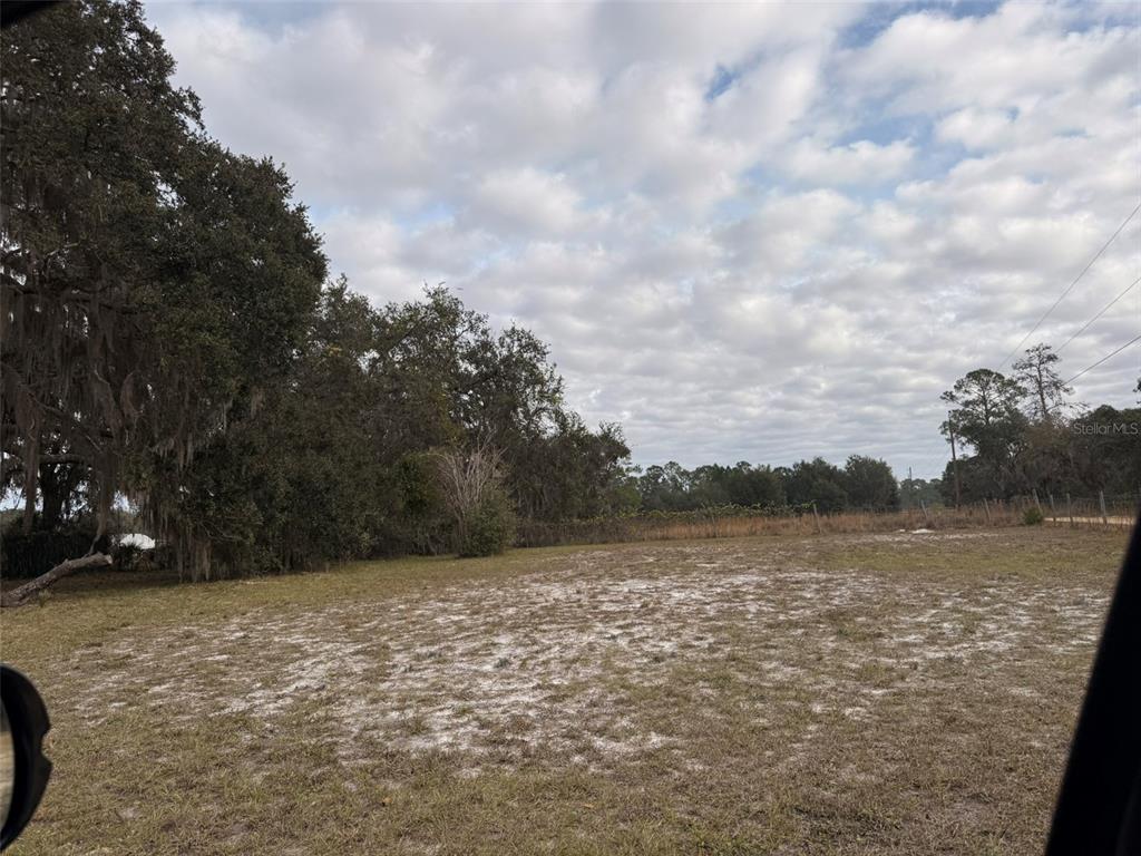 A view of a flat, grassy, and sandy vacant lot bordered by trees — 29605 FULLERVILLE ROAD, DELAND, FL