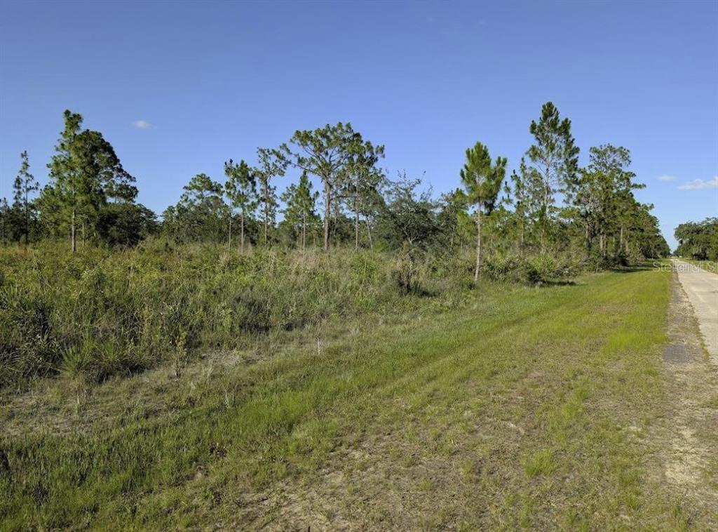 A grassy roadside borders a wooded area with scattered pine trees under a clear sky — 714 MAGNOLIA DRIVE, INDIAN LAKE ESTATES, FL