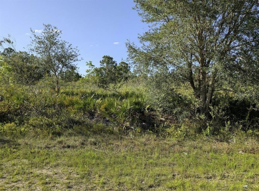 A view of a grassy, undeveloped lot with scattered trees and dense native vegetation — 714 MAGNOLIA DRIVE, INDIAN LAKE ESTATES, FL