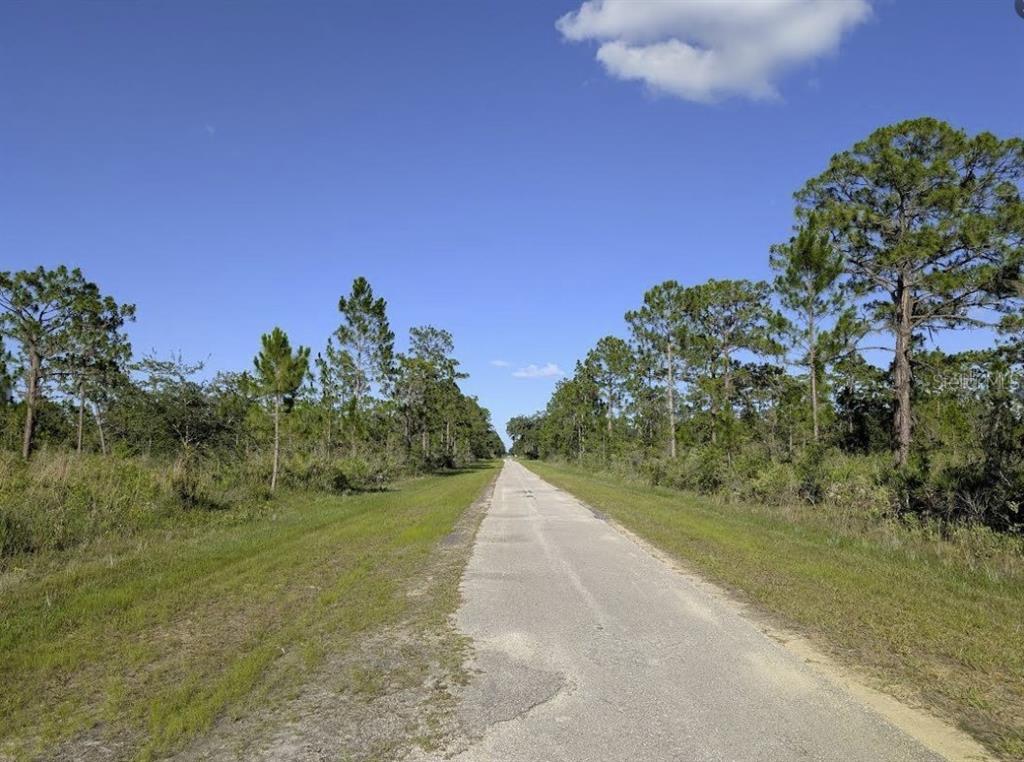 A narrow paved road stretches through a rural landscape with pine trees under a blue sky — 714 MAGNOLIA DRIVE, INDIAN LAKE ESTATES, FL