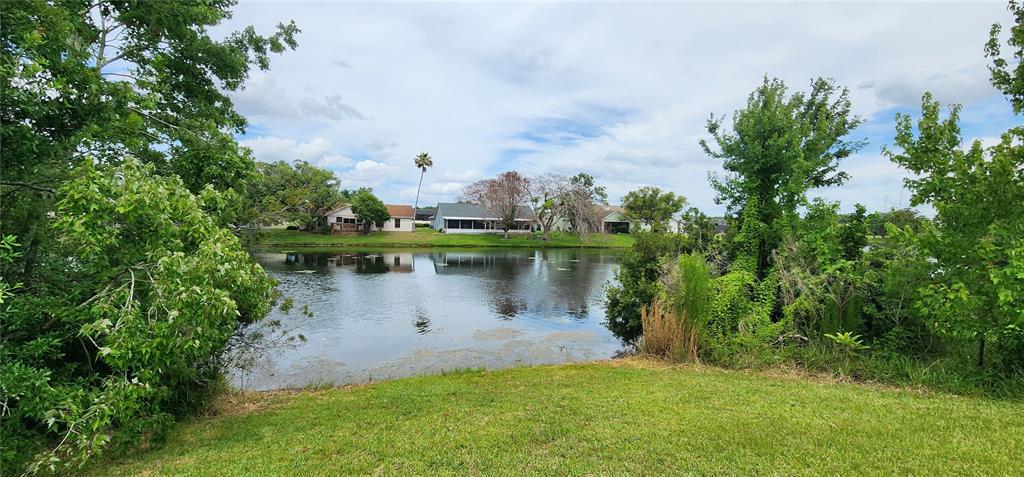 A view of a pond with houses in the background and trees in the foreground — 14613 LONE EAGLE DRIVE, ORLANDO, FL