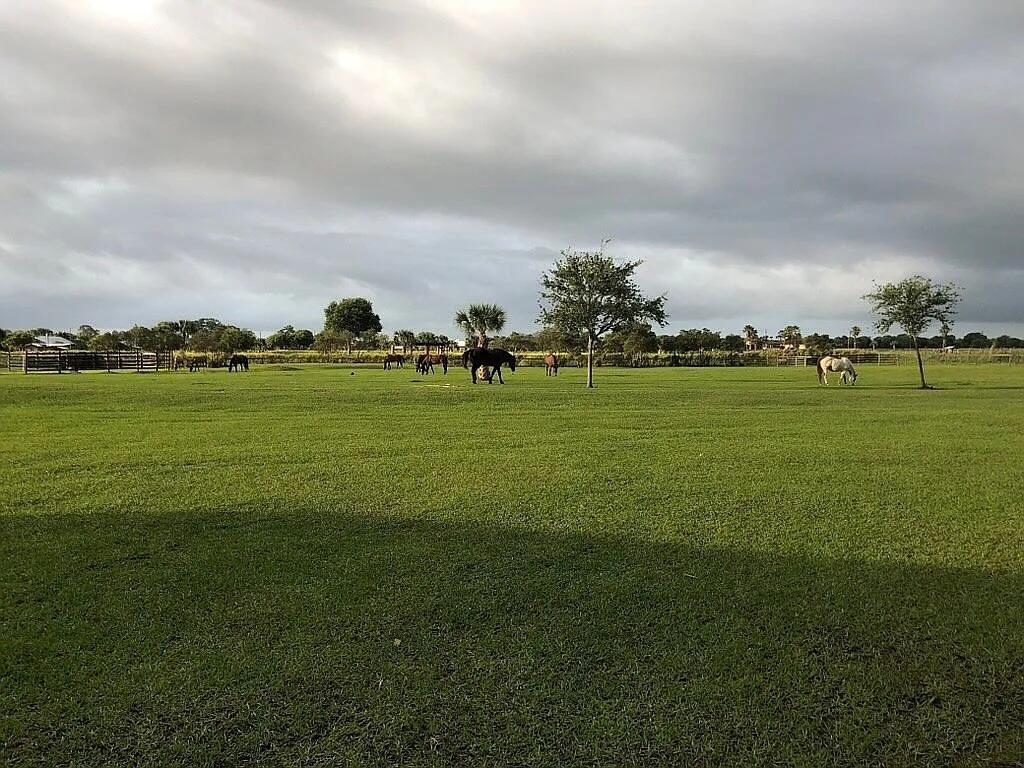 A wide, grassy pasture features several horses grazing under a cloudy sky with scattered trees — 7565 Polo Square, Vero Beach FL 32968, VERO BEACH, FL