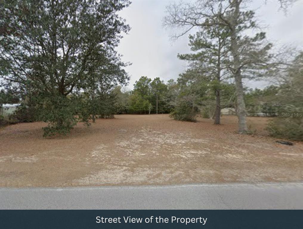 A vacant, sandy lot with scattered trees is viewed from the adjacent paved road — 208 KINGS LAKE BOULEVARD, DEFUNIAK SPRINGS, FL