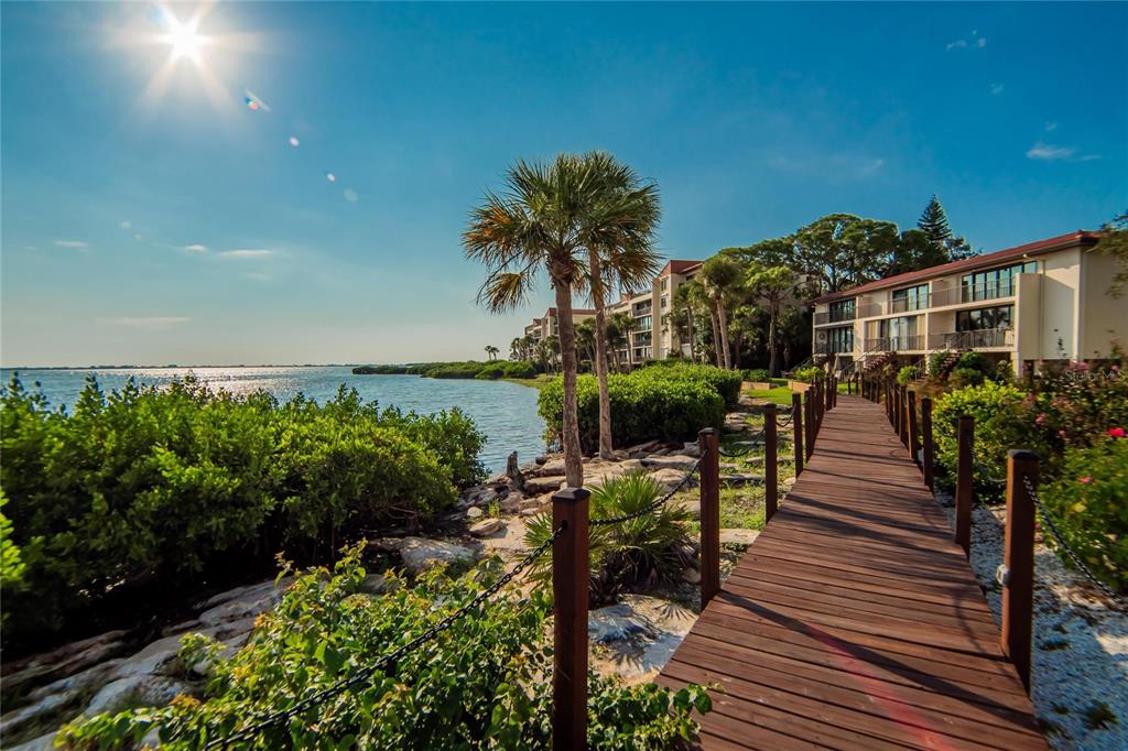 A wooden boardwalk leads toward waterfront apartment buildings surrounded by lush tropical landscaping and trees — 3415 WILD OAK BAY BOULEVARD UNIT 427, BRADENTON, FL