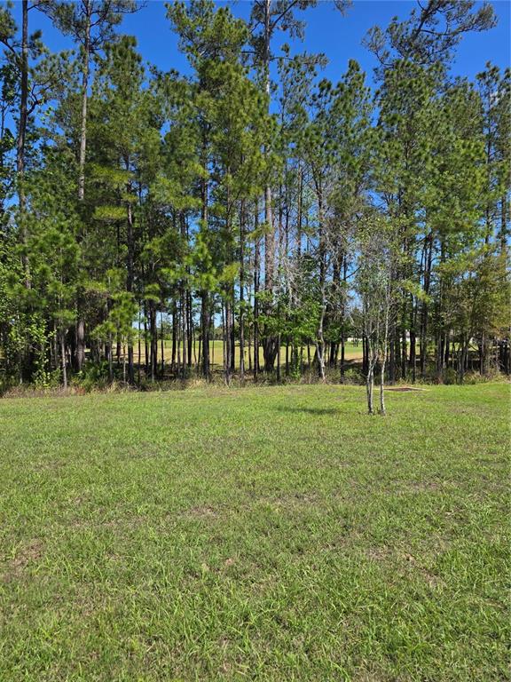 The rear exterior of a single-story house features a screened-in porch and a grassy yard — 5058 DIANTHA WAY, BROOKSVILLE, FL