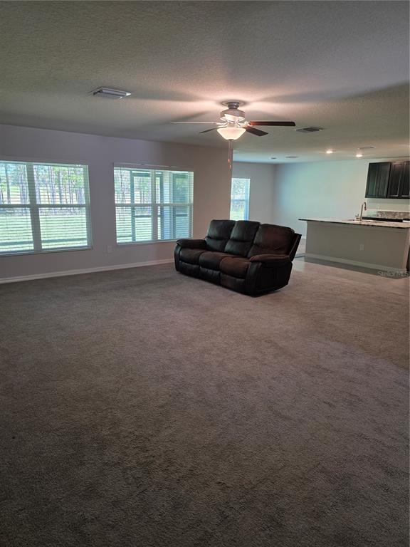 An open-concept living area features gray carpeting, a kitchen with dark cabinets, and stainless appliances — 5058 DIANTHA WAY, BROOKSVILLE, FL