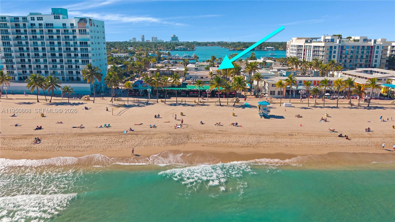 An aerial view of a beach with palm trees and commercial buildings along the shore — 320 New York St, Hollywood FL 33019, HOLLYWOOD, FL