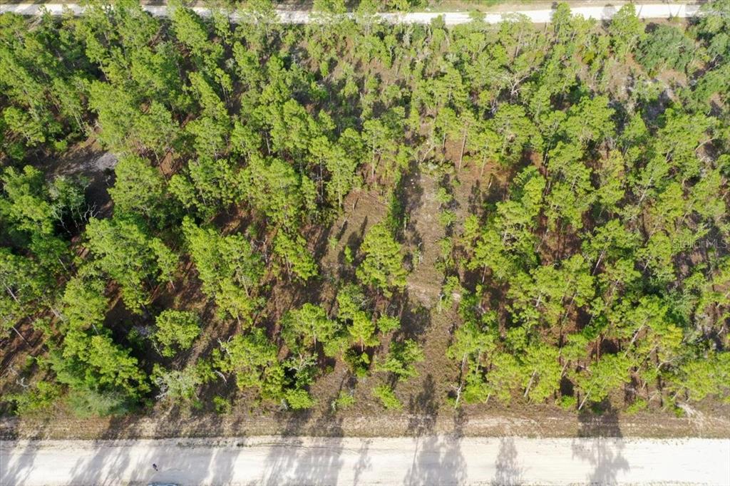 An aerial view shows a wooded, undeveloped rectangular lot bordered by dirt roads — 0000 NE 131 LOT 7 TERRACE, WILLISTON, FL