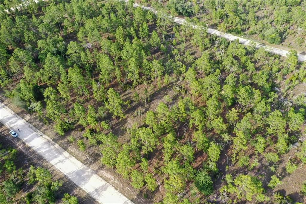 An aerial view shows a wooded lot bordered by two dirt roads — 0000 NE 131 LOT 7 TERRACE, WILLISTON, FL