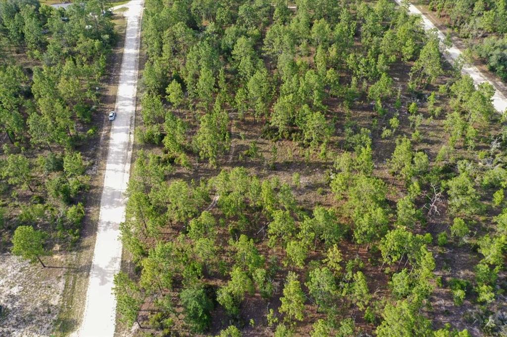 An aerial view shows a dirt road running alongside a wooded, undeveloped lot — 0000 NE 131 LOT 7 TERRACE, WILLISTON, FL