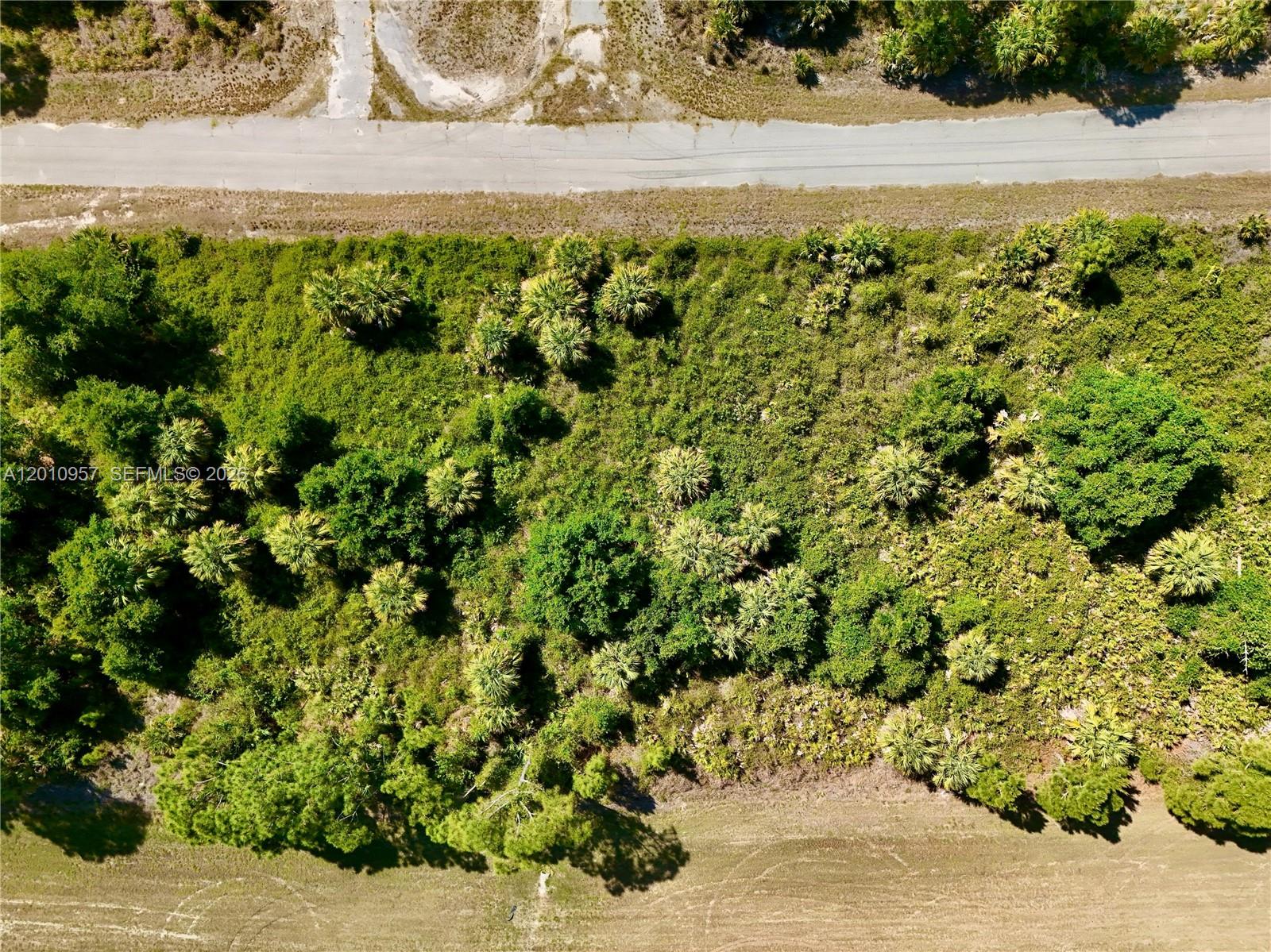 An aerial view shows a rectangular, wooded lot bordered by a road and a field — 0 CUSTER CIR, North Port FL 34288, NORTH PORT, FL