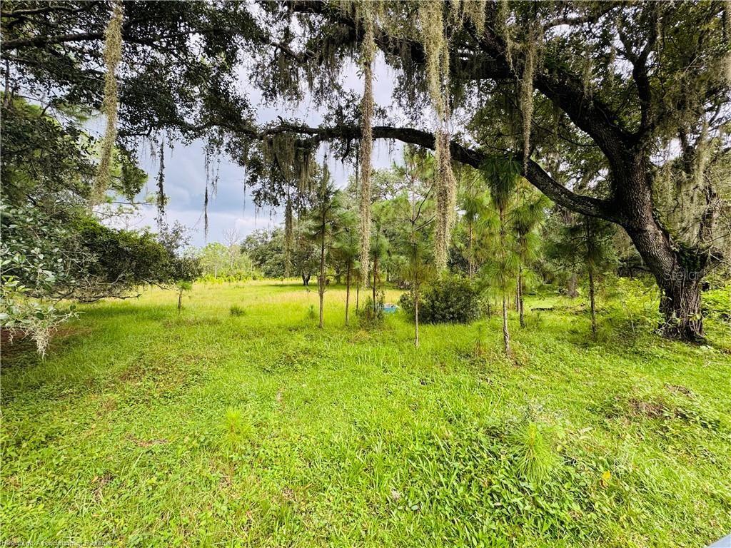 DETJENS DAIRY ROAD, VENUS, FL — photo 4 of 12