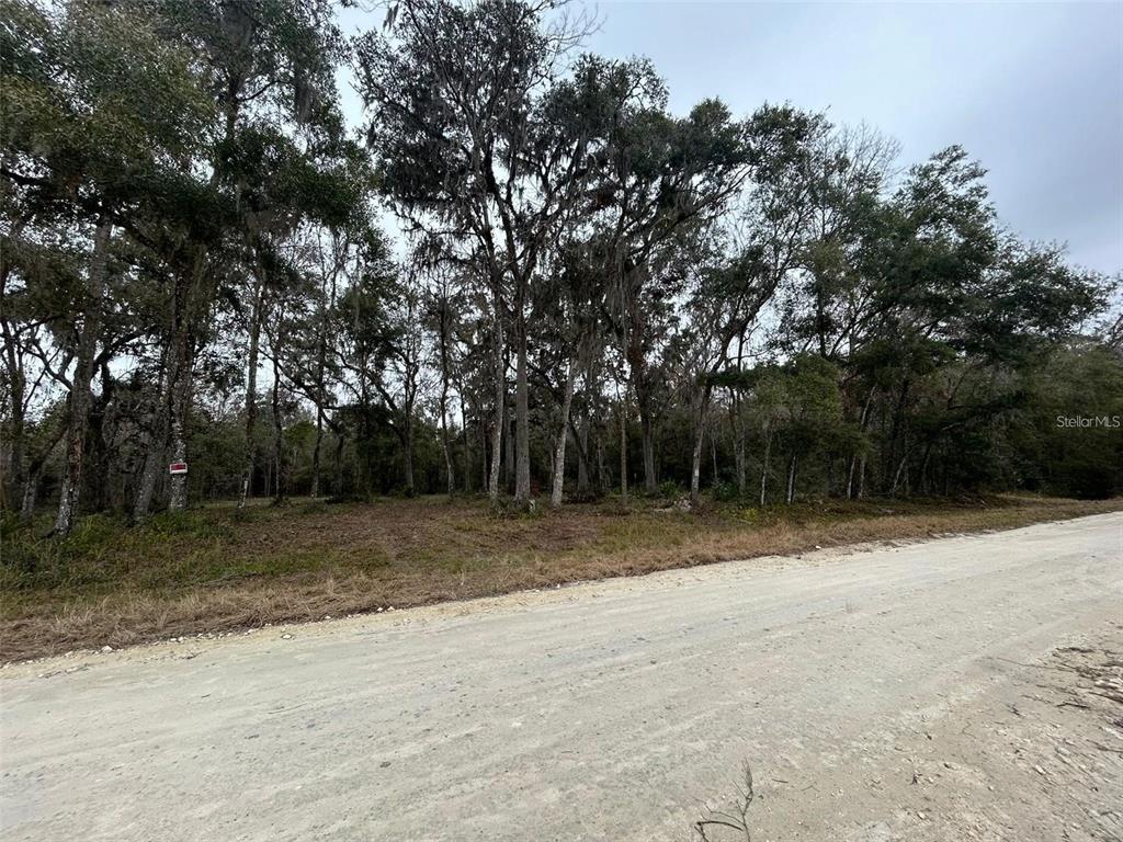 A dirt road runs alongside a wooded lot with many tall trees — 12191 NW 7TH PLACE, OCALA, FL