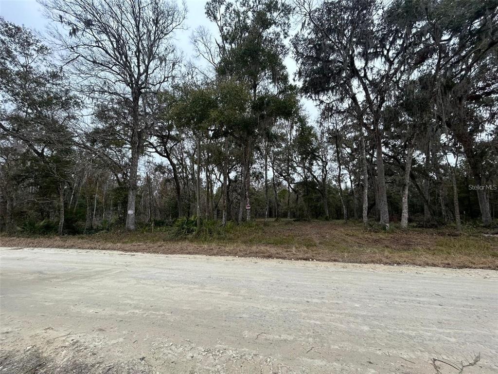 A dirt road runs in front of a wooded, undeveloped plot of land — 12191 NW 7TH PLACE, OCALA, FL