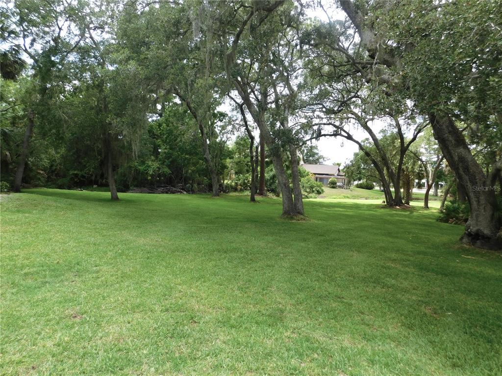 A grassy, tree-filled lot with a house visible in the distance — 1400 TARPON WOODS BOULEVARD UNIT 1-4, PALM HARBOR, FL