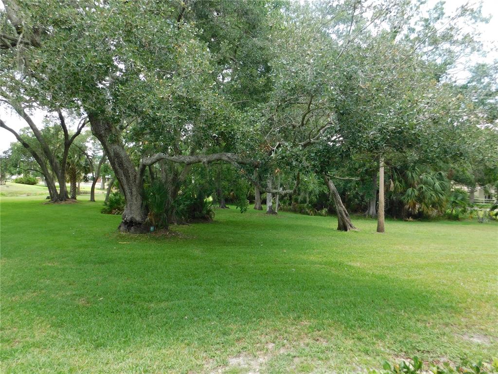 A large, grassy lot features several mature trees and dense foliage under a bright sky — 1400 TARPON WOODS BOULEVARD UNIT 1-4, PALM HARBOR, FL