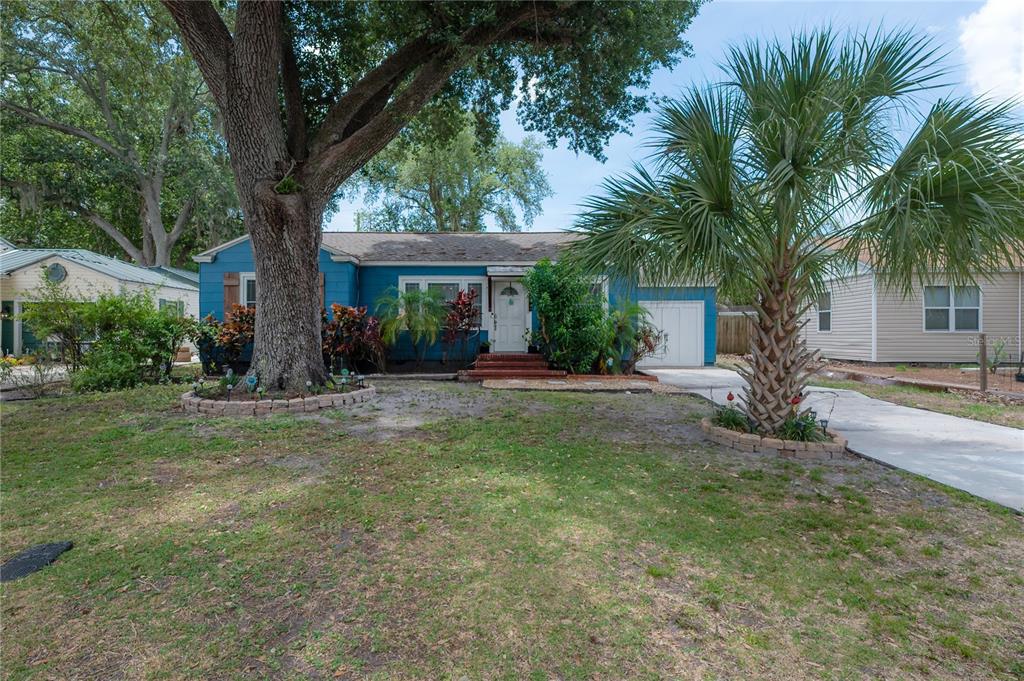 A blue single-story house features a large front tree, a palm tree, and a driveway — 912 CORNELIUS AVENUE, TAMPA, FL