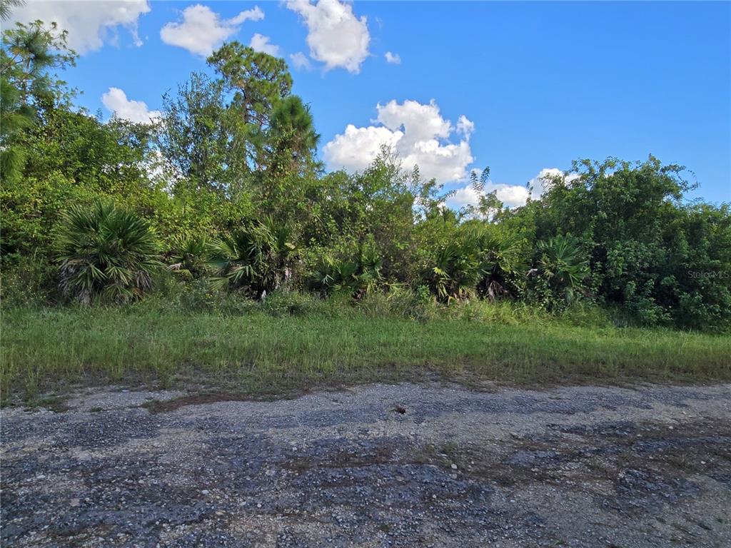 A view of a vacant, overgrown lot with dense vegetation and a gravel road — 425 WILDER AVENUE S, LEHIGH ACRES, FL