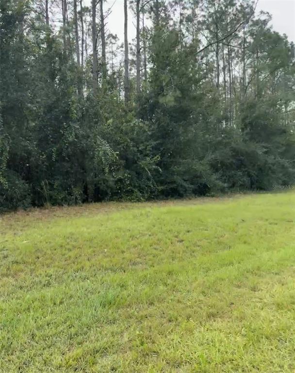 LAKE SMITH ROAD, UMATILLA, FL — photo 2 of 5