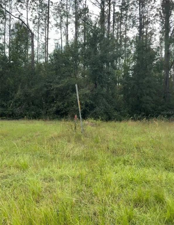 LAKE SMITH ROAD, UMATILLA, FL — photo 3 of 5