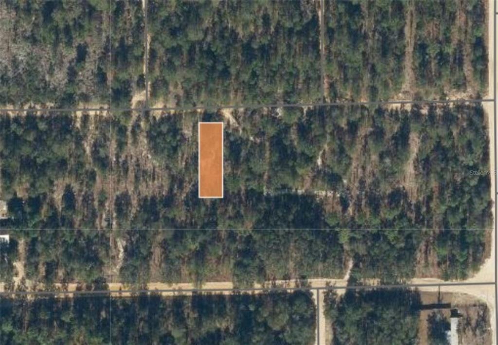 00 UNASSIGNED ROAD, INTERLACHEN, FL — photo 3 of 9